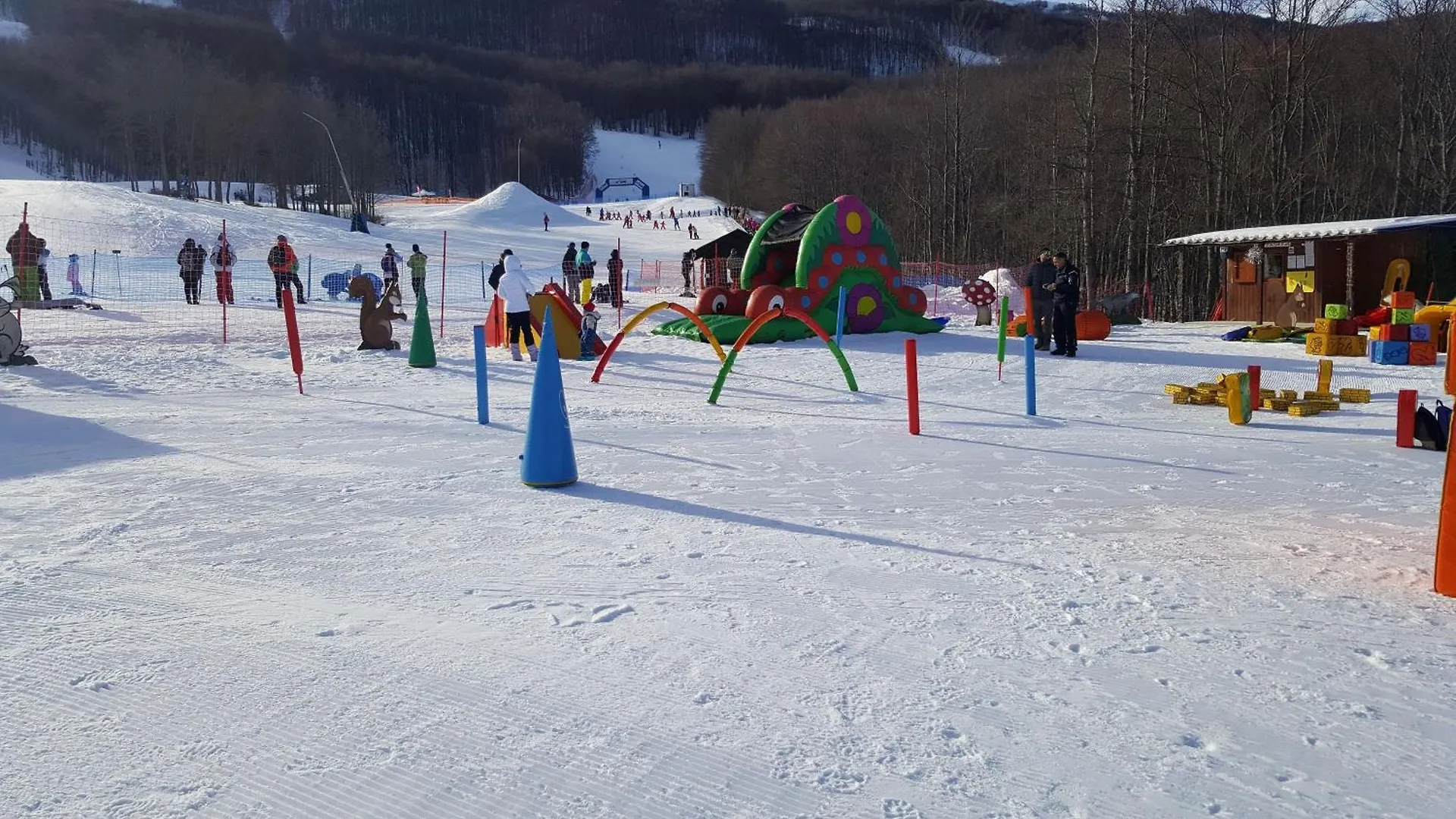 Residence Cimone Supersci Polle-Life Riolunato